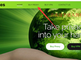 Buyproxies-国外高性价比私人代理IP(Private Proxies)出售商推荐