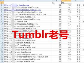 Tumblr账号批发零售 汤博乐博客账号 Tumblr老号高权重