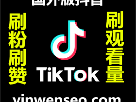 Tiktok营销服务 Tiktok刷粉买follower Tiktok点赞买like 刷视频播放量