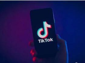 2020最新Shopify外贸站推广之国外抖音Tiktok引流教程