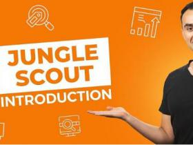 Junglescout 正版账号共享 亚马逊卖家选品必备软件 junglescout非破解