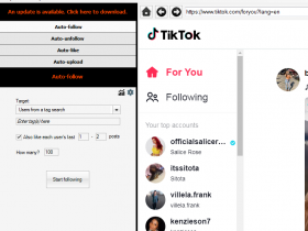 NinjaTok 最新Tiktok自动加粉点赞软件 抖音国际版刷粉涨粉
