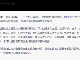 Chatgpt账号批量出售 Chatgpt私人账号代注册 OpenAi辅助账号可改密