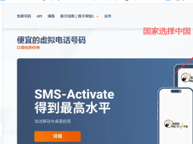 chatgpt注册必备之短信验证服务商sms-activate.org购买充值使用教程