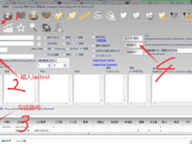 推特群发工具Twitterdub如何置顶最新推文或置顶指定推文
