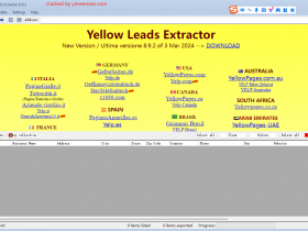 国外客户邮箱电话收集-Yellow Leads Extractor 最新版本 公司黄页信息导出