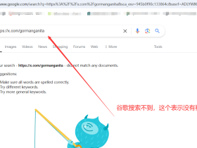 推特账号页面谷歌收录服务|X.com账号谷歌收录|twitter.com账号收录|不成功不收费