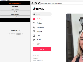 NinjaTok 2025最新Tiktok自动加粉点赞软件 抖音国际版刷粉涨粉