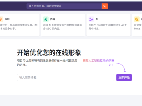 2025最新Semrush正版账号共享使用-低价出售Semrush团购账号