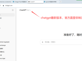 Chatgpt Plus正版账号共享 Chatgpt 5团购账号 OpenAI账号