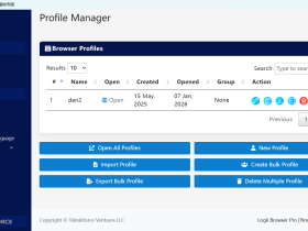 Logii Browser 专为跨境电商与数字营销打造的高性价比反指纹工具