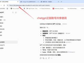Chatgpt Plus正版账号共享 Chatgpt 5团购账号 OpenAI账号